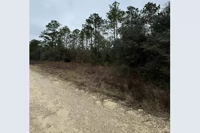 Tbd SW 91st Lane, Dunnellon, FL 34432 - Photo 3