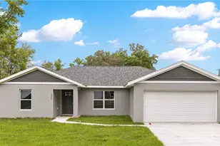 13 Fisher Run Terrace, Ocklawaha, FL 32179 - Photo 1