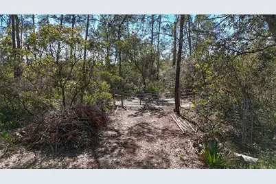 6646 N Percale Terrace, Dunnellon, FL 34433 - Photo 21
