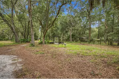 14468 NE 150th Avenue, Fort Mc Coy, FL 32134 - Photo 9