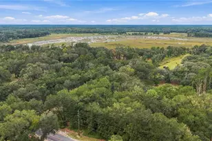 14468 NE 150th Ave, Fort Mc Coy, FL 32134 - Photo 41