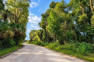 15120 NE 35th Avenue Rd, Citra, FL 32113 - Photo 13