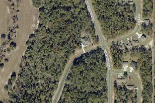 Tbd SW 61st Ave Rd, Ocala, FL 34473 - Photo 1