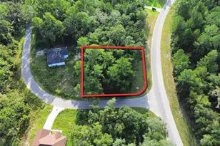 Tbd Fisher Rd, Ocklawaha, FL 32179 - Photo 1