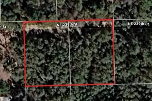 Lot 18 & 19 NE 239th St, Fort Mc Coy, FL 32134 - Photo 1