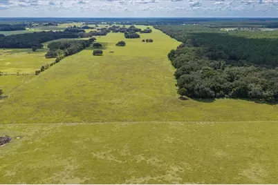 Se 215th Avenue, Morriston, FL 32668 - Photo 9