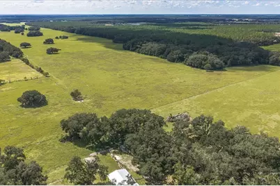 Se 215th Avenue, Morriston, FL 32668 - Photo 11