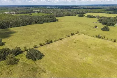 Se 215th Avenue, Morriston, FL 32668 - Photo 13