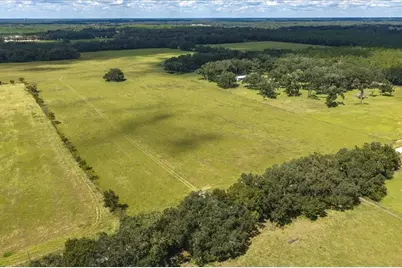 Se 215th Avenue, Morriston, FL 32668 - Photo 19