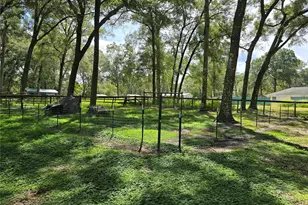 15035 SW 110th Ave, Dunnellon, FL 34432 - Photo 73