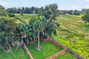 6994 NW Hwy 320, Micanopy, FL 32667 - Photo 73