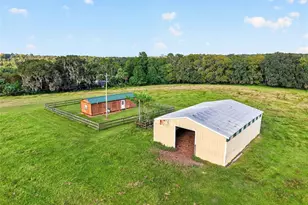 6994 NW Hwy 320, Micanopy, FL 32667 - Photo 85