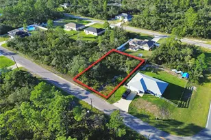 Tbd Fisher Loop Pass, Ocklawaha, FL 32179 - Photo 1