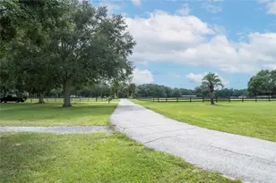 4951 SE 212th Ct, Morriston, FL 32668 - Photo 19