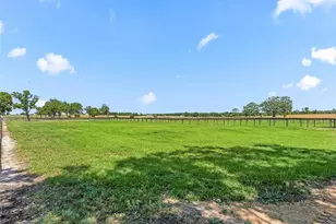 1000 NW 150th Ave, Ocala, FL 34482 - Photo 13