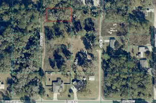 Tbd SE 43rd Terrace, Belleview, FL 34420 - Photo 1