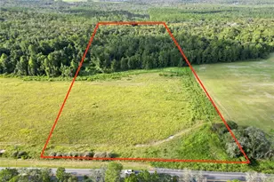 Lot 5B E Hwy 318, Fort Mc Coy, FL 32134 - Photo 1
