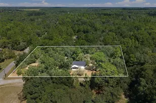 293 E Shawna Ct, Hernando, FL 34442 - Photo 3