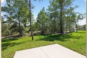 10260 N Spaulding Dr, Citrus Springs, FL 34433 - Photo 63