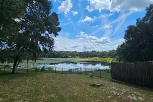 36236 Mary Ellen St, Fruitland Park, FL 34731 - Photo 31