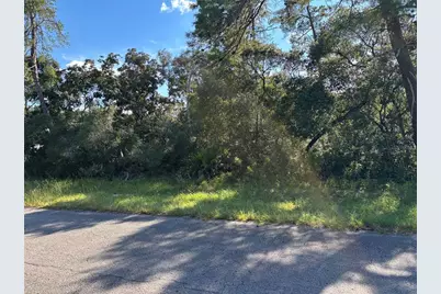 0 SW 171st Street, Ocala, FL 34473 - Photo 5