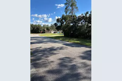 0 SW 171st Street, Ocala, FL 34473 - Photo 3