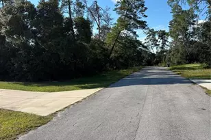 0 SW 171st St, Ocala, FL 34473 - Photo 1