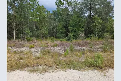 0000 NE 67th Street, Bronson, FL 32621 - Photo 3