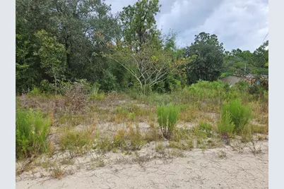 0000 NE 67th Street, Bronson, FL 32621 - Photo 1