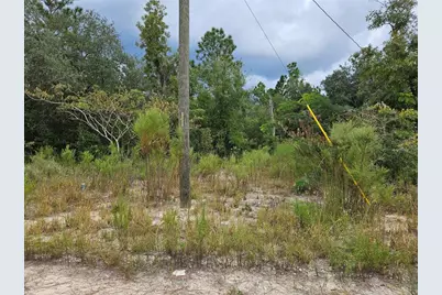 0000 NE 67th Street, Bronson, FL 32621 - Photo 3
