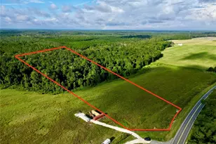 Lot 4B E Hwy 318, Fort Mc Coy, FL 32134 - Photo 1