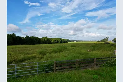 Lot 4B E Hwy 318, Fort Mc Coy, FL 32134 - Photo 9