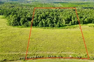 Lot 5A E Hwy 318, Fort Mc Coy, FL 32134 - Photo 1
