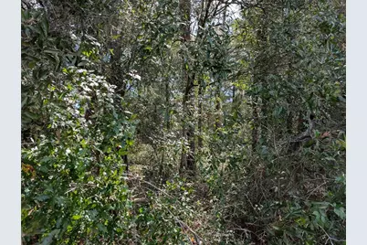 Tbd SW 121st Avenue, Dunnellon, FL 34432 - Photo 7