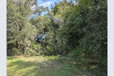 Tbd SW 121st Avenue, Dunnellon, FL 34432 - Photo 1