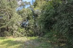 Tbd SW 121st Ave, Dunnellon, FL 34432 - Photo 1