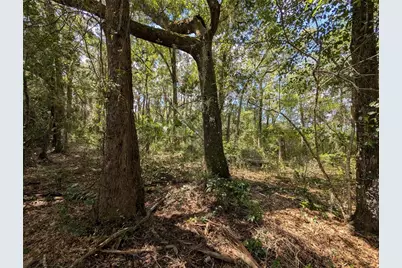 Tbd SW 121st Avenue, Dunnellon, FL 34432 - Photo 5