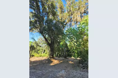 291 SE 81st Street, Ocala, FL 34480 - Photo 3
