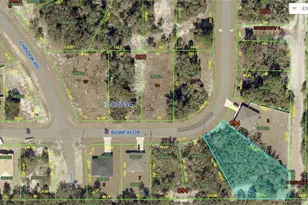 317 Bowfin Dr, Poinciana, FL 34759 - Photo 1