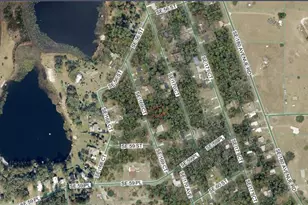 00 SE 169th Ct, Ocklawaha, FL 32179 - Photo 1