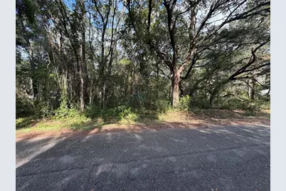 00 SE 169th Ct, Ocklawaha, FL 32179 - Photo 7