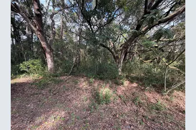 00 SE 169th Ct, Ocklawaha, FL 32179 - Photo 3