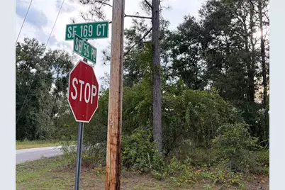 00 Corner SE 169th Ct & SE 59th Place, Ocklawaha, FL 32179 - Photo 3