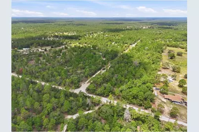 0 W Canagan Court, Dunnellon, FL 34433 - Photo 3