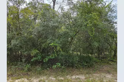 0000 SW South Water Court, Dunnellon, FL 34431 - Photo 5
