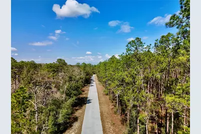 0000 SW South Water Court, Dunnellon, FL 34431 - Photo 1