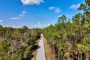 0000 SW South Water Ct, Dunnellon, FL 34431 - Photo 1