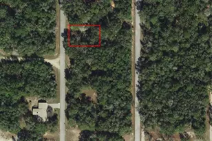 6569 N Flower Terrace, Hernando, FL 34442 - Photo 1