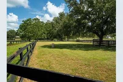 4900 NW 120th Street, Reddick, FL 32686 - Photo 25