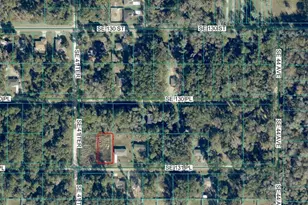 4203 SE 131st Pl, Belleview, FL 34420 - Photo 1